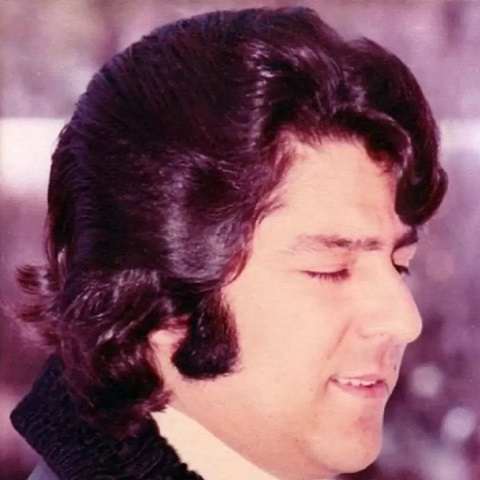 دانلود آهنگ دلم در عاشقی آواره شد احمد ظاهر