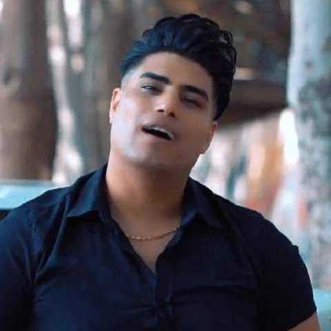 دانلود آهنگ لعنت به این گریه ها که شدن بی صدا امین فالجی