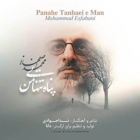 دانلود آهنگ پناه تنهایی من محمد اصفهانی
