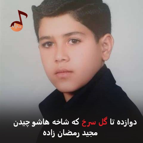 دانلود نوحه دوازده تا گل سرخ که ساقه هاشو چیدن مجید رمضان زاده (بچه)