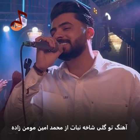 دانلود آهنگ تو گلی شاخه نبات محمد امین مومن زاده (بندری) دانلود آهنگ تو گلی شاخه نبات محمد امین مومن زاده (بندری)