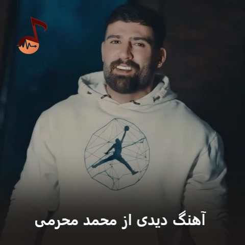 دانلود آهنگ دیدی محمد محرمی (دیدی میگفتم بهت یه روز میشه آتیشت سرد)