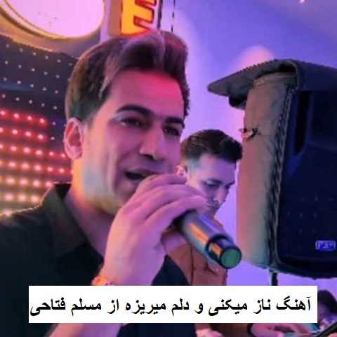 دانلود آهنگ ناز میکنی و دلم میریزه مسلم فتاحی