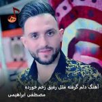 دانلود آهنگ دلم گرفته مثل رفیق زخم خورده مصطفی ابراهیمی
