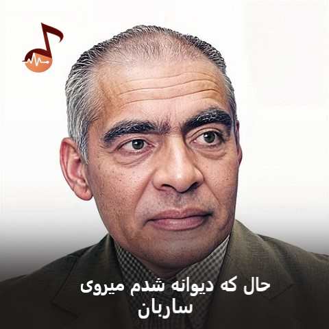 دانلود آهنگ حال که دیوانه شدم میروی ساربان