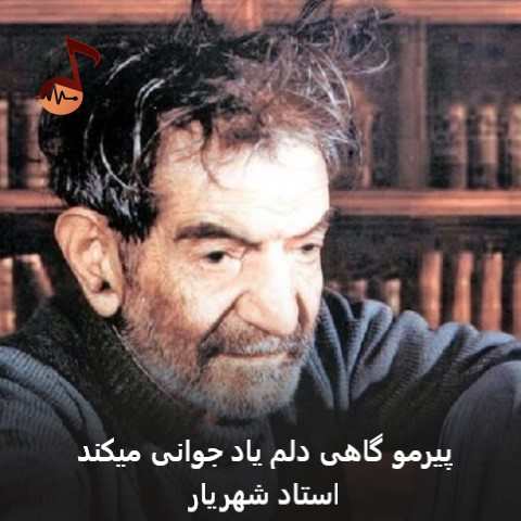 دانلود آهنگ پیرمو گاهی دلم یاد جوانی میکند استاد شهریاد + ریمیکس