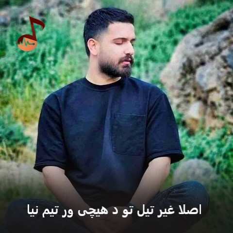 دانلود آهنگ اصلا غیر تیل تو د هیچی ور تیم نیا احمد فتحی