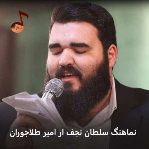 دانلود نماهنگ سلطان نجف امیر طلاجوران (نام ما را بنویسید مسلمان نجف)