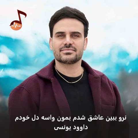 دانلود آهنگ نرو ببین عاشق شدم بمون واسه دل خودم داوود یونسی