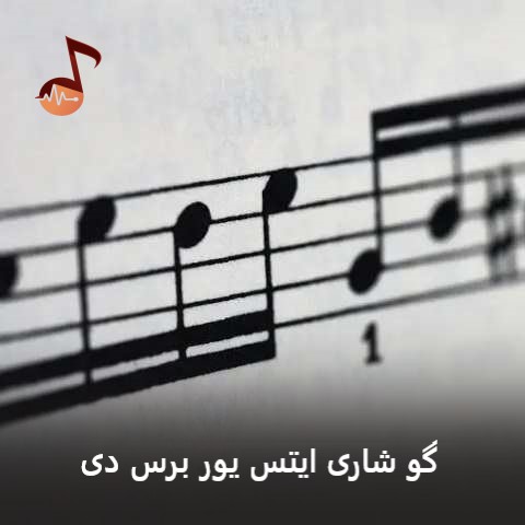 دانلود آهنگ گو شاری ایتس یور برس دی