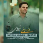 دانلود آهنگ نبودی داوود یونسی (چه میدونی چی کشیدم وقتایی که نبودی)