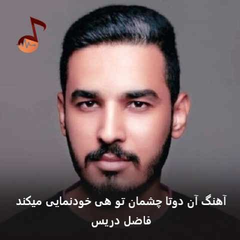 دانلود آهنگ آن دوتا چشمان تو هی خودنمایی میکند فاضل دریس