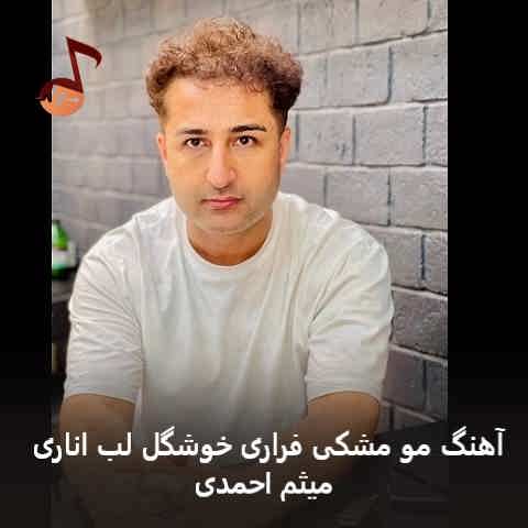 دانلود آهنگ مو مشکی فراری خوشگل لب اناری میثم احمدی