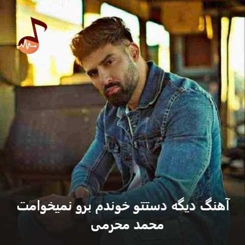 دانلود آهنگ دیگه دستتو خوندم برو نمیخوامت محمد محرمی