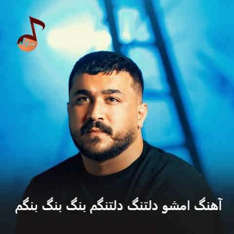 دانلود آهنگ امشو دلتنگ دلتنگم بنگ بنگ بنگم + ریمیکس