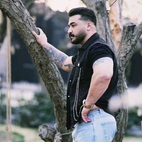 دانلود آهنگ و سر ای غمیلسه کیشم هرچی پیالس رضا کرمی تارا