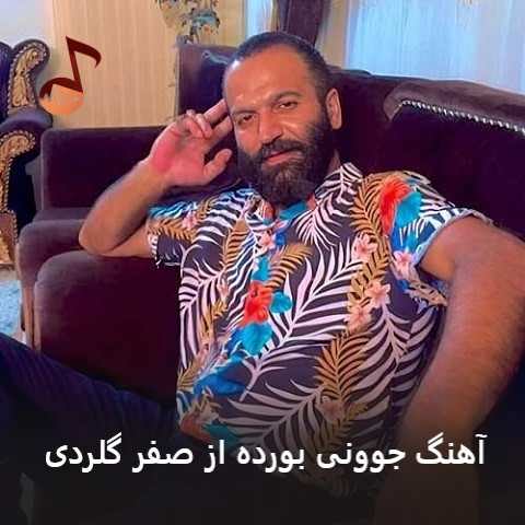 دانلود آهنگ جوونی بورده صفر گلردی (آدم که پیر وونه جوونی یاد انه)