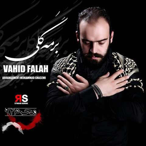 دانلود نوحه برمه گلی خوندمه یا حسین یا حسین وحید فلاح دانلود نوحه برمه گلی خوندمه یا حسین یا حسین وحید فلاح