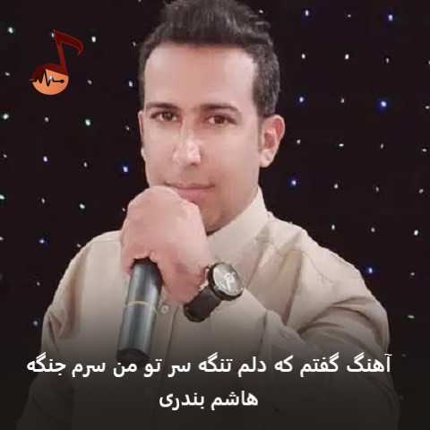 دانلود آهنگ گفتم که دلم تنگه سر تو من سرم جنگه هاشم بندری