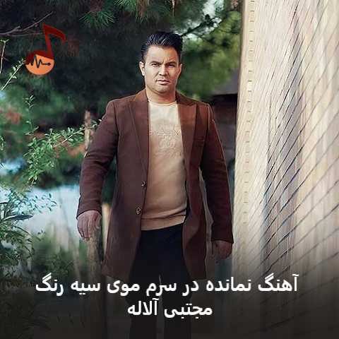 دانلود آهنگ نمانده در سرم موی سیه رنگ مجتبی آلاله