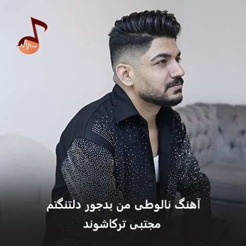 دانلود آهنگ نالوطی من بدجور دلتنگتم مجتبی ترکاشوند + ریمیکس