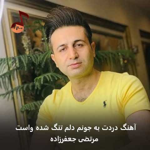دانلود آهنگ دردت به جونم دلم تنگ شده واست مرتضی جعفرزاده