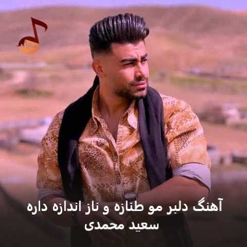 دانلود آهنگ دلبر مو طنازه و ناز اندازه داره سعید محمدی دانلود آهنگ دلبر مو طنازه و ناز اندازه داره سعید محمدی