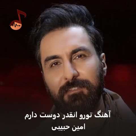 دانلود آهنگ تورو انقدر دوست دارم که هیچکی حتی تو خوابم نمیبینه امین حبیبی