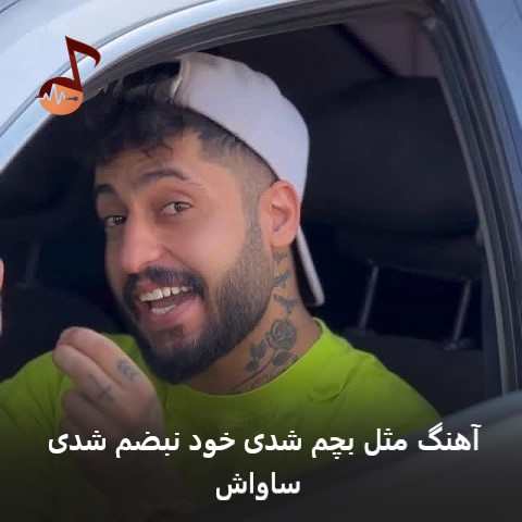 دانلود آهنگ مثل بچم شدی خود نبضم شدی از ساواش
