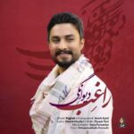 دانلود آهنگ دیوانگی از راغب