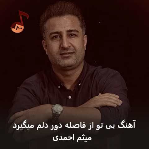 دانلود آهنگ بی تو از فاصله دور دلم میگیرد از میثم احمدی