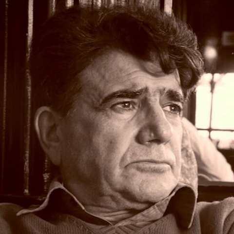 دانلود آهنگ جان جهان دوش کجا بوده ای از محمدرضا شجریان