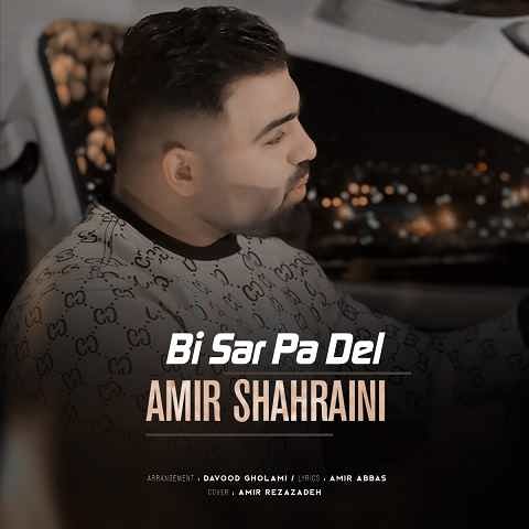 دانلود آهنگ بی سرو پا دل از امیر شهرایینی