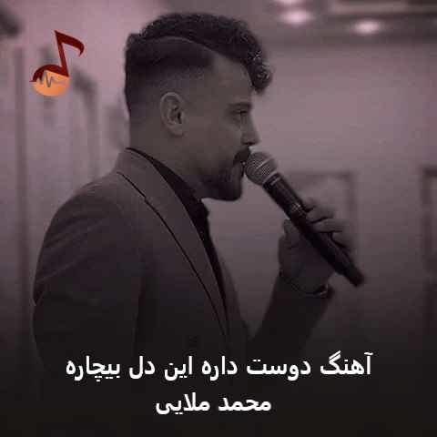 دانلود آهنگ دوست داره این دل بیچاره از محمد ملایی (آخه شب که میشه باز این دلم)