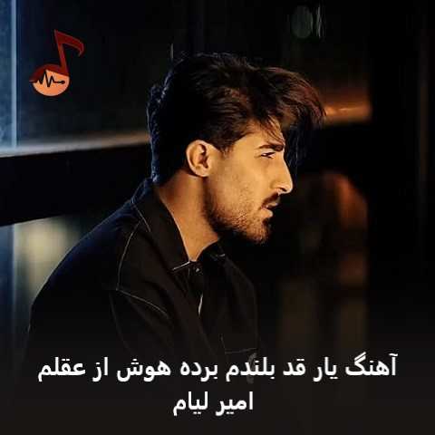 دانلود آهنگ یار قد بلندم برده هوش از عقلم از امیر لیام