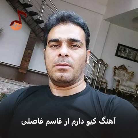 دانلود آهنگ کیو دارم از قاسم فاضلی (در این شب ها که بیمارم)