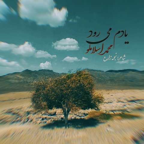 دانلود آهنگ من پر از دردم پر از دردم ولی تا نگاهت میکنم از محمد اسلاملو (یادم میرود)