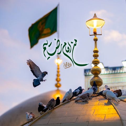 دانلود نماهنگ من امام رضاییم از امیر طلاجوران (از بس آقایی و از بس داری کرم)