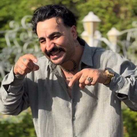 دانلود آهنگ دلبر از وحید عباسی (شیطون و بلایی عیار بالا طلایی)