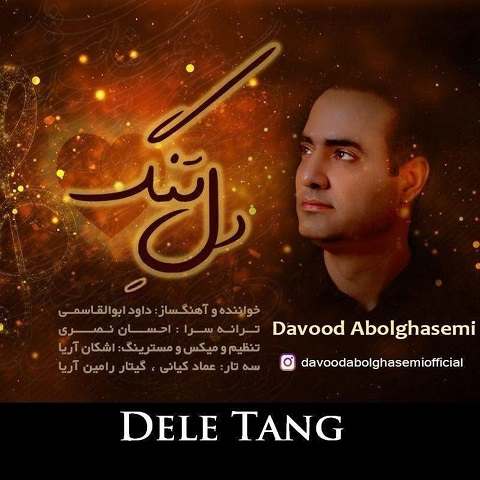 دانلود آهنگ دل من تنگ تو شد کاش که پیدا بشوی از داوود ابوالقاسمی (دل تنگ)