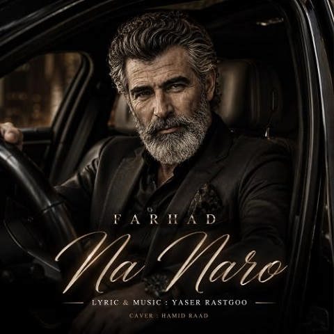 دانلود آهنگ نه نرو از فرهاد (نه نرو نرو نرو دیگه مهم نیست هر کی هر چی میگه)