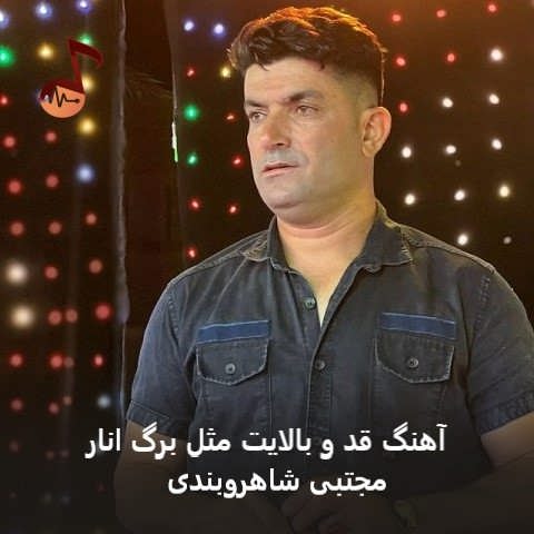 دانلود آهنگ قد بالایت مثل برگ انار از مجتبی شاهروبندی