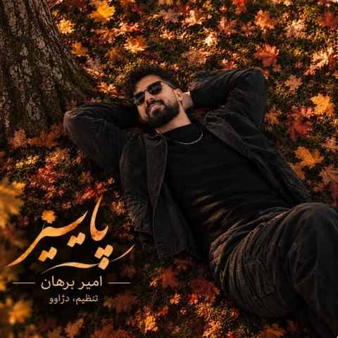 دانلود آهنگ نزار دلم بگیره وقتی کنار تو خوبه حالم از امیر برهان